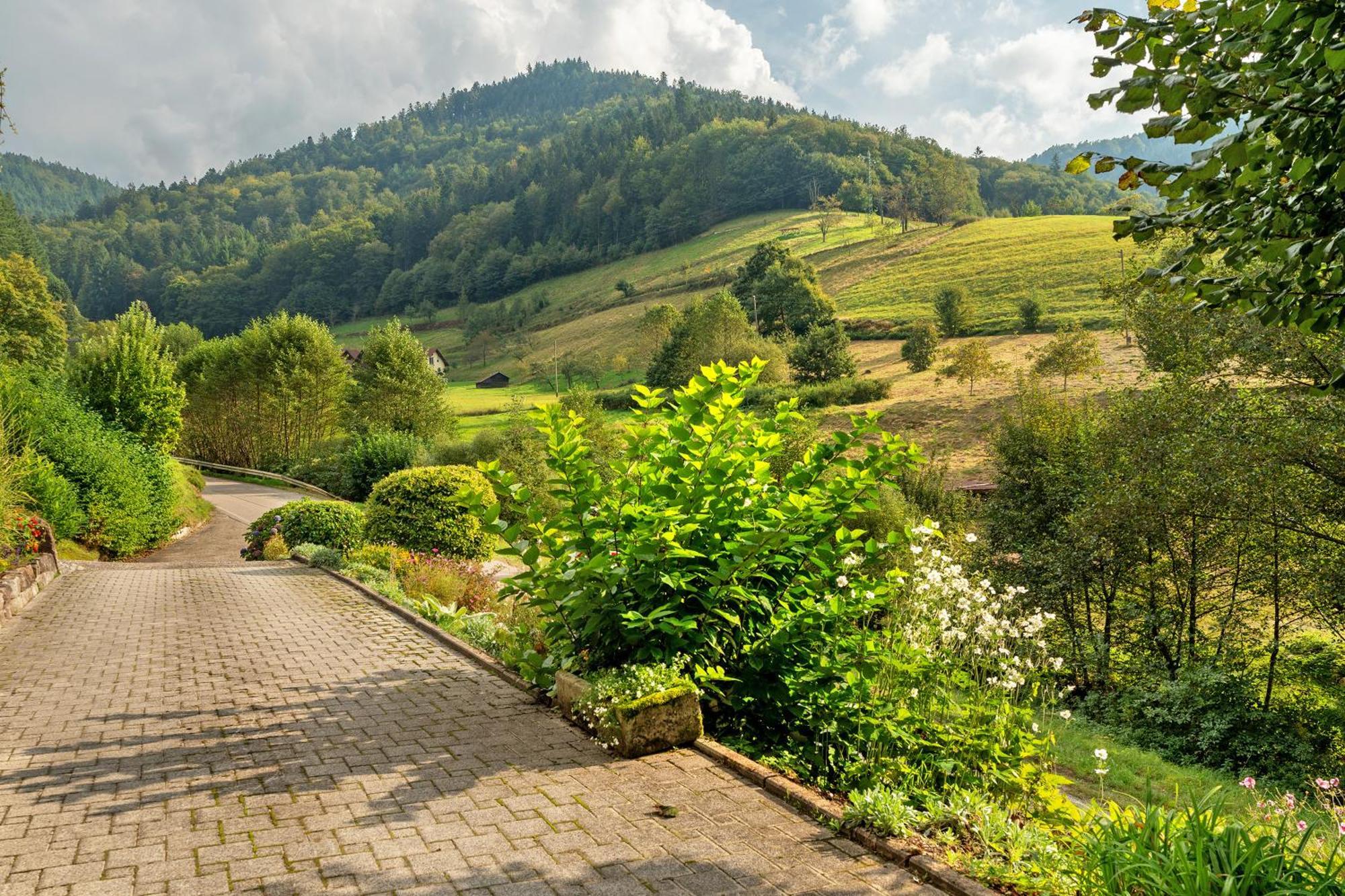 Haus Schindler Lägenhet Ottenhofen im Schwarzwald Exteriör bild